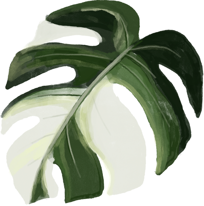 Watercolor Leaf Monstera